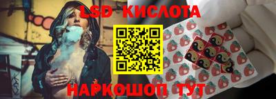 прущие грибы Кизляр