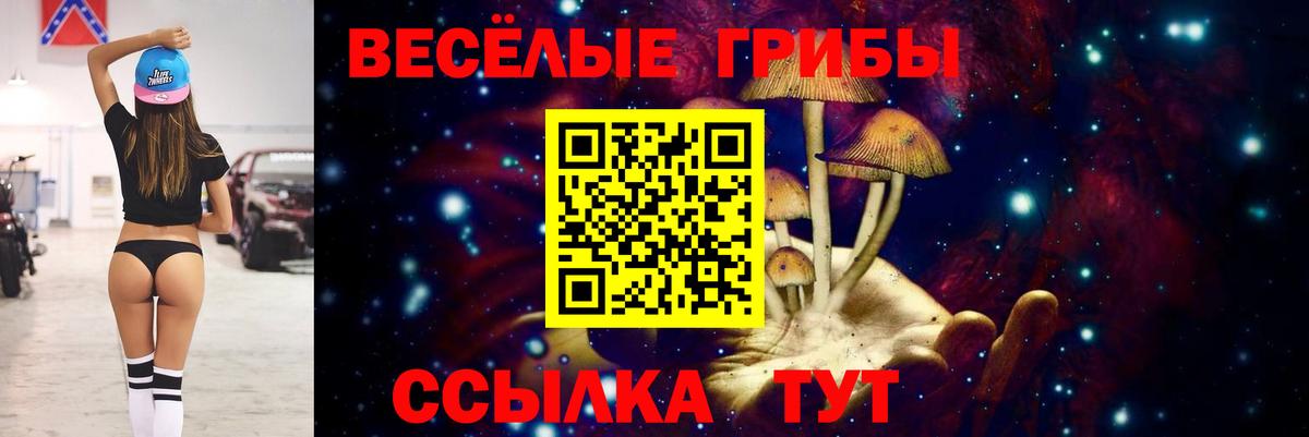 Галлюциногенные грибы Cubensis Октябрьский